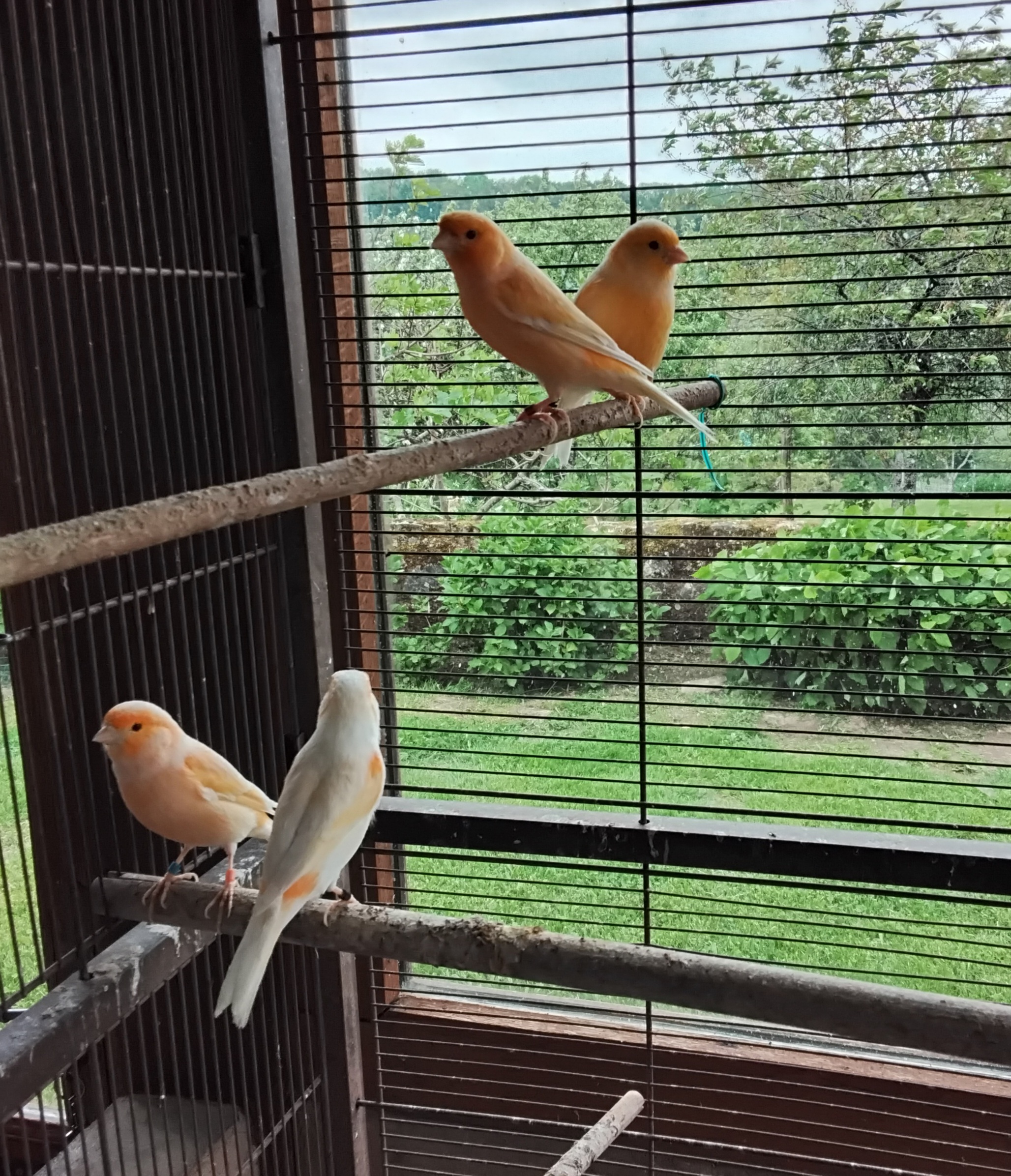 Canaris 15 58370 Villapour�on