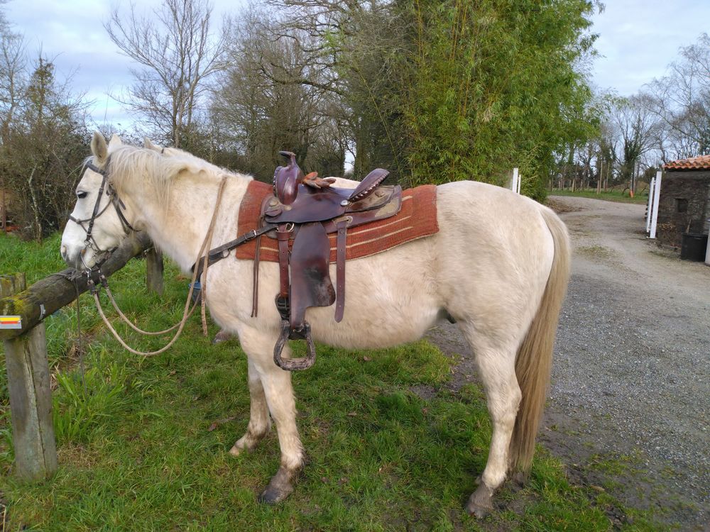 Cheval de Rando 4000 85190 Aizenay