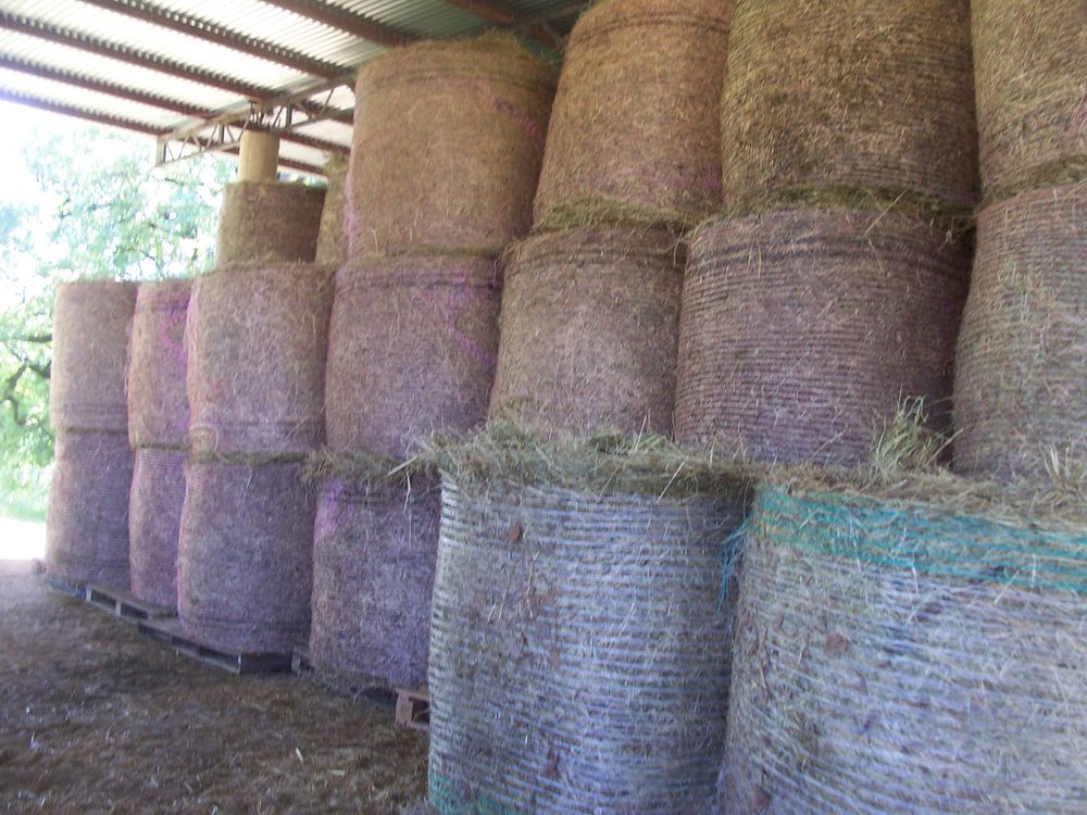 foin  balle   ronde 45 66500 Villefranche-de-conflent