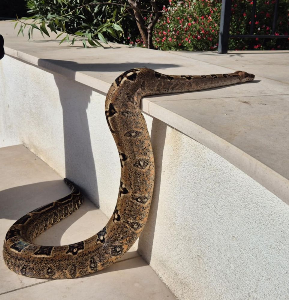 A VENDRE 0 13190 Allauch