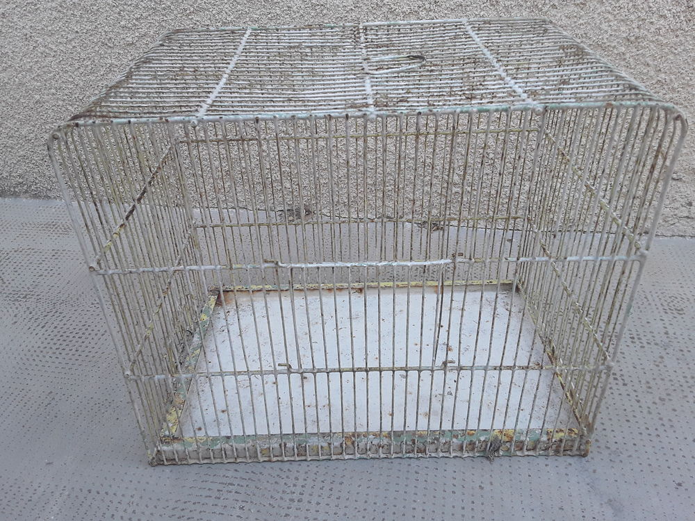 Cage 10 13013 Marseille