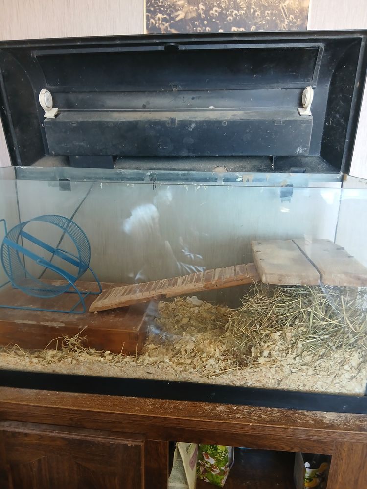 petit prix 10 72000 Le mans