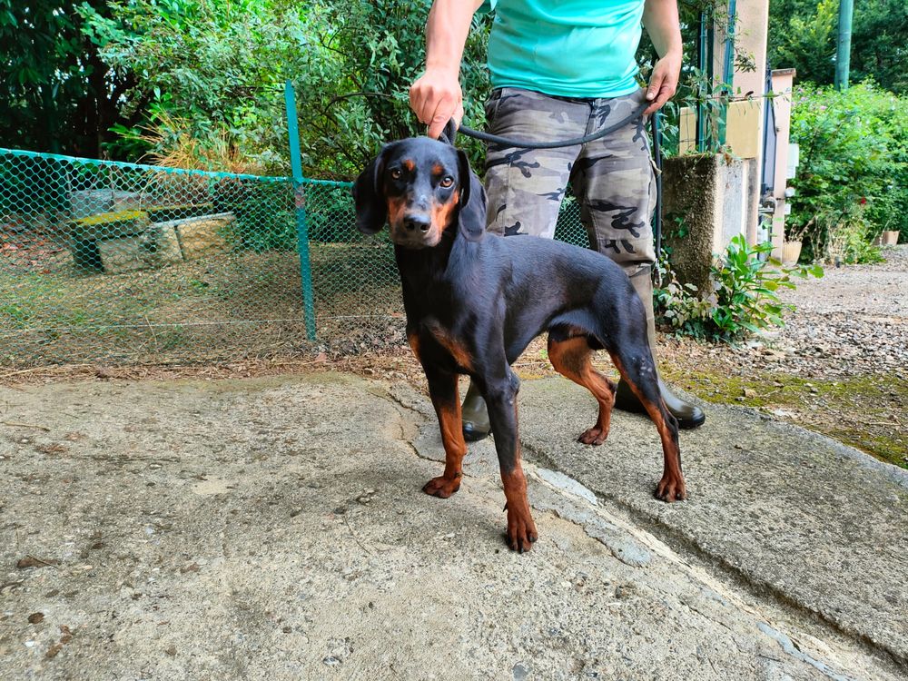 saillie SLOVENSKY KOPOV 0 09300 L'aiguillon