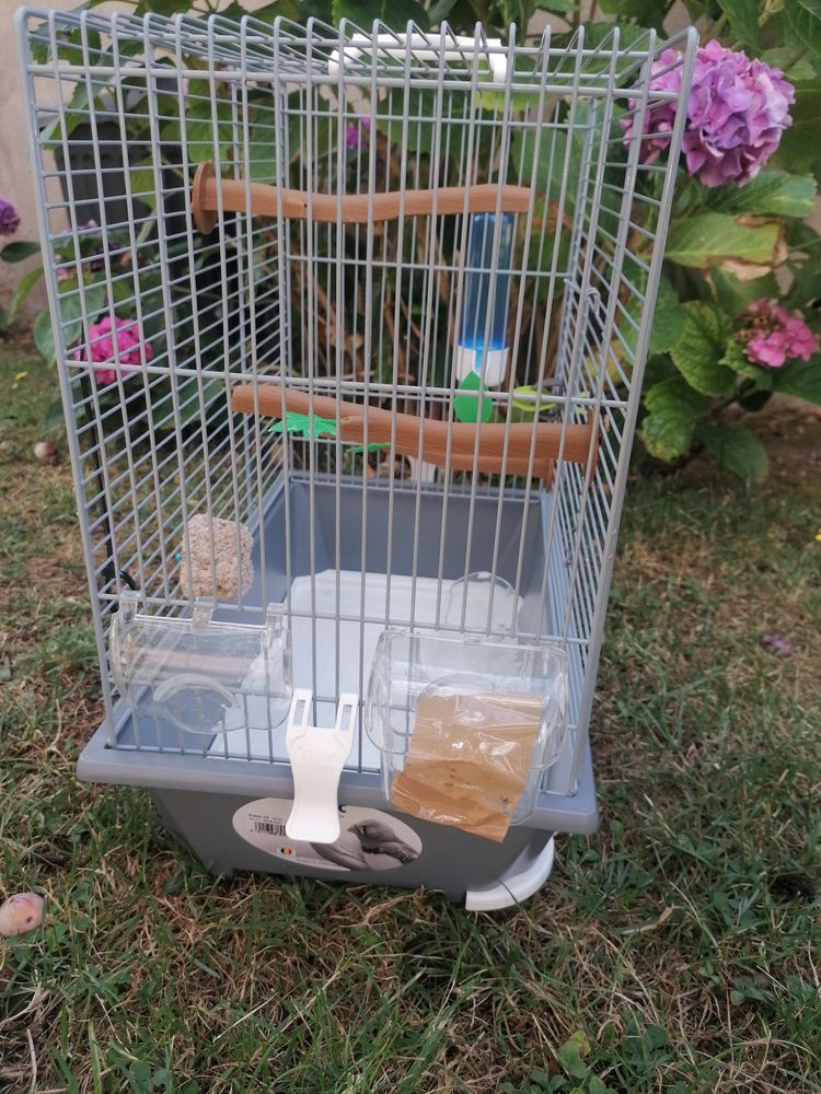 Cage oiseaux 35 03400 Yzeure