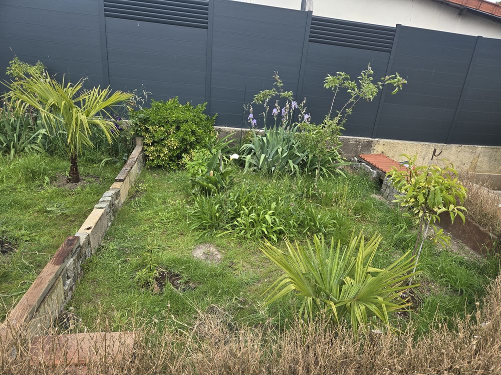 Passionn&eacute;,rech ?ufs de grosses tortues, de race &agrave; sauver 75 50 77500 Chelles