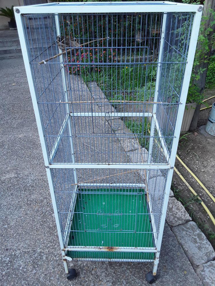 Voli&egrave;re 60 13013 Marseille