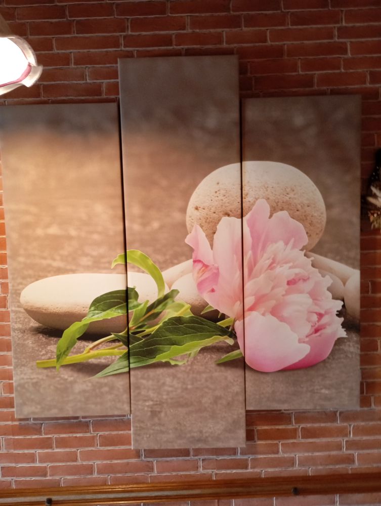 cadre 15 59590 Raismes