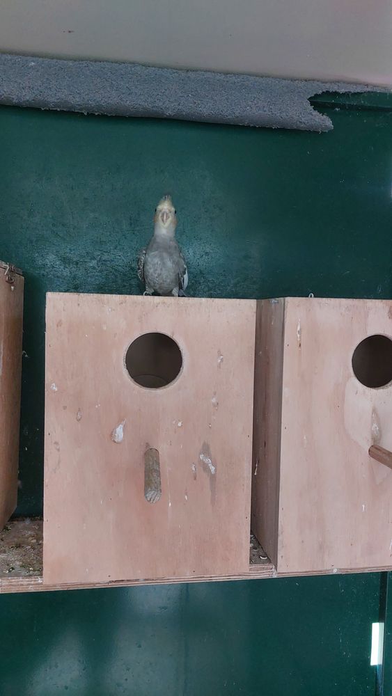 Calopssite 50 03500 Saulcet