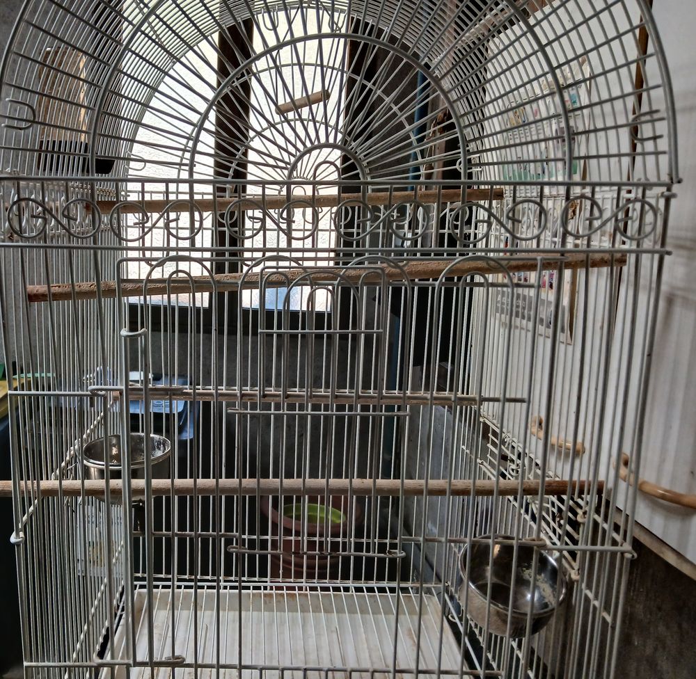 cage oiseaux 30 66600 Rivesaltes