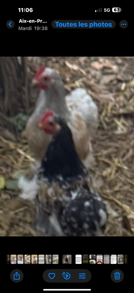 Coq 15 13100 Aix-en-provence