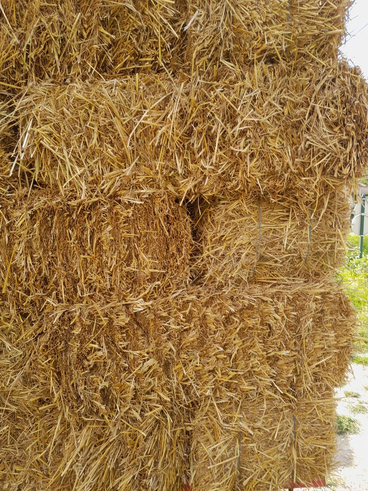 paille en petite botte rectangulaire 3 38210 Tullins