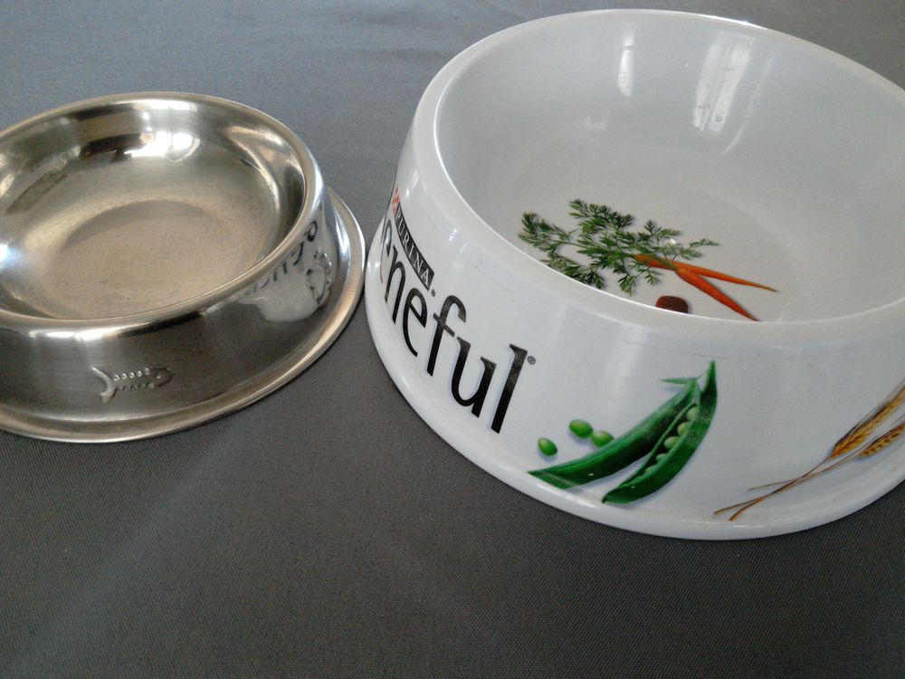 gamelles chien ou chat 2 83000 Toulon