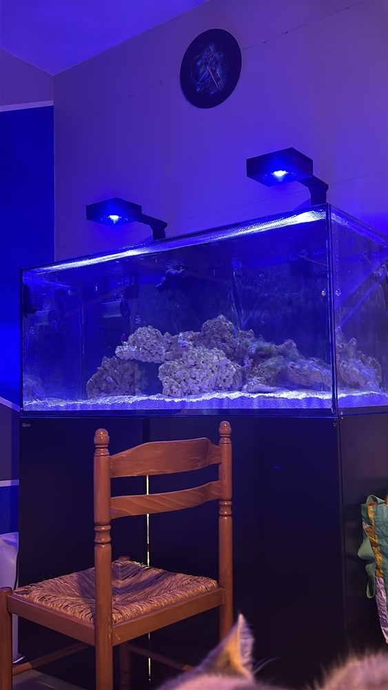 Aquarium red sea 350l complet 1300 59270 Bailleul