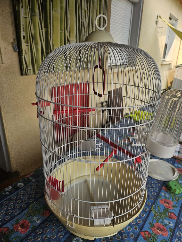 Cage oiseaux 25 66430 Bompas