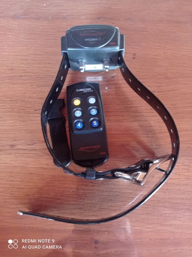 Collier &eacute;ducatif chien 50 24350 Lisle