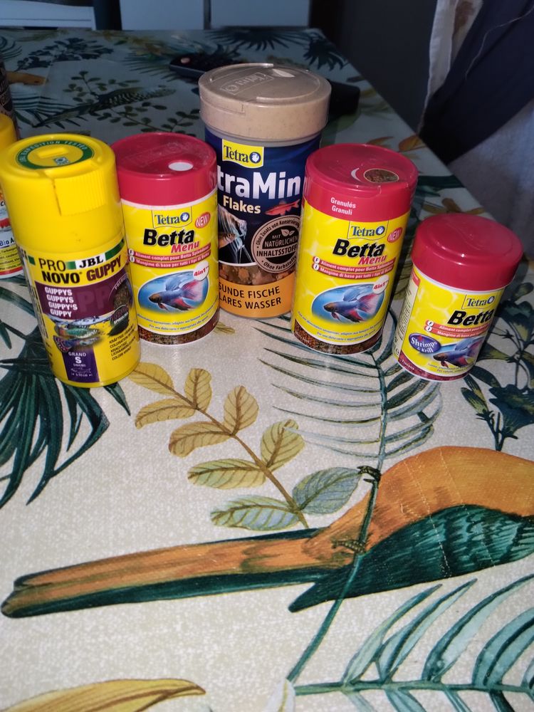 Alimentation poisson exotique 30 17610 Dompierre-sur-charente