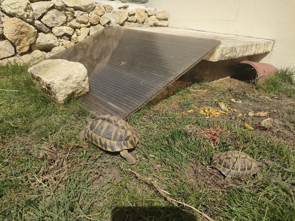 Terrarium 0 33720 C�rons