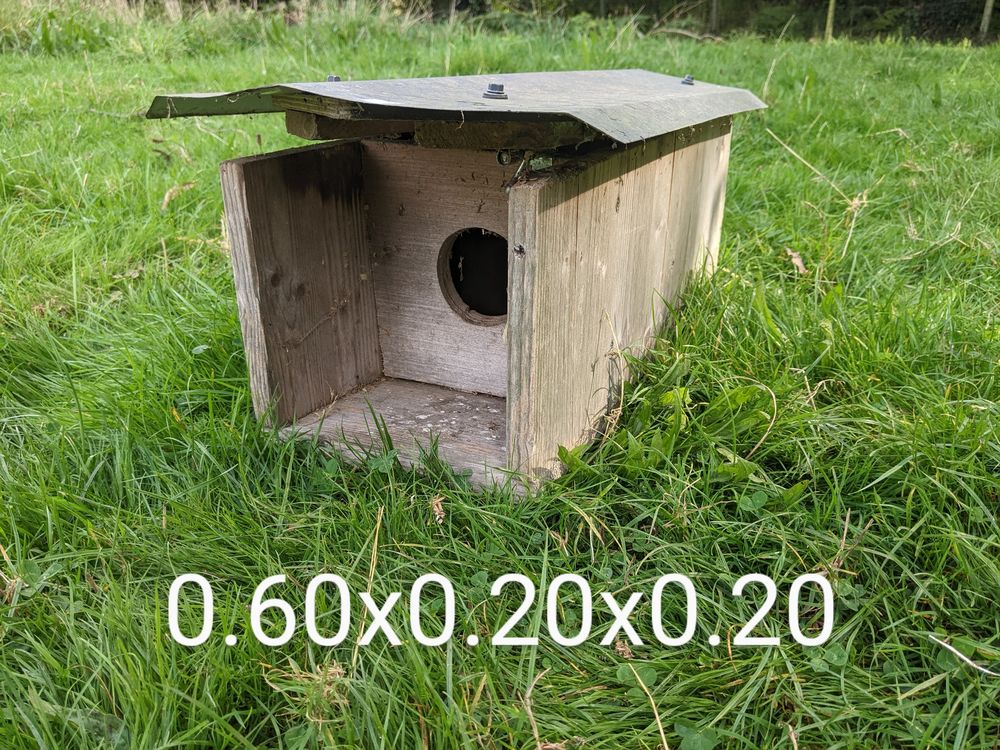 Nid chouette Chev&ecirc;che d'Ath&eacute;na 35 56880 Ploeren