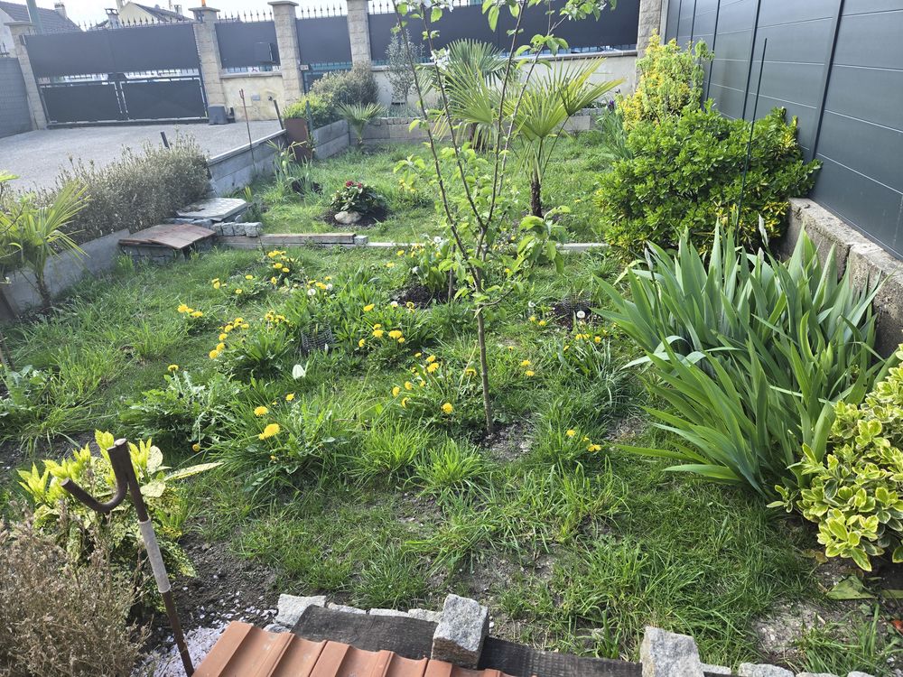 des tortues &acirc;g&eacute;e ou &eacute;gar&eacute;e, m&eacute;rite une belle vie 75 0 93800 �pinay-sur-seine