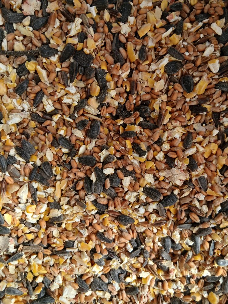 C&eacute;r&eacute;ales alimentation animal 1 33210 Langon