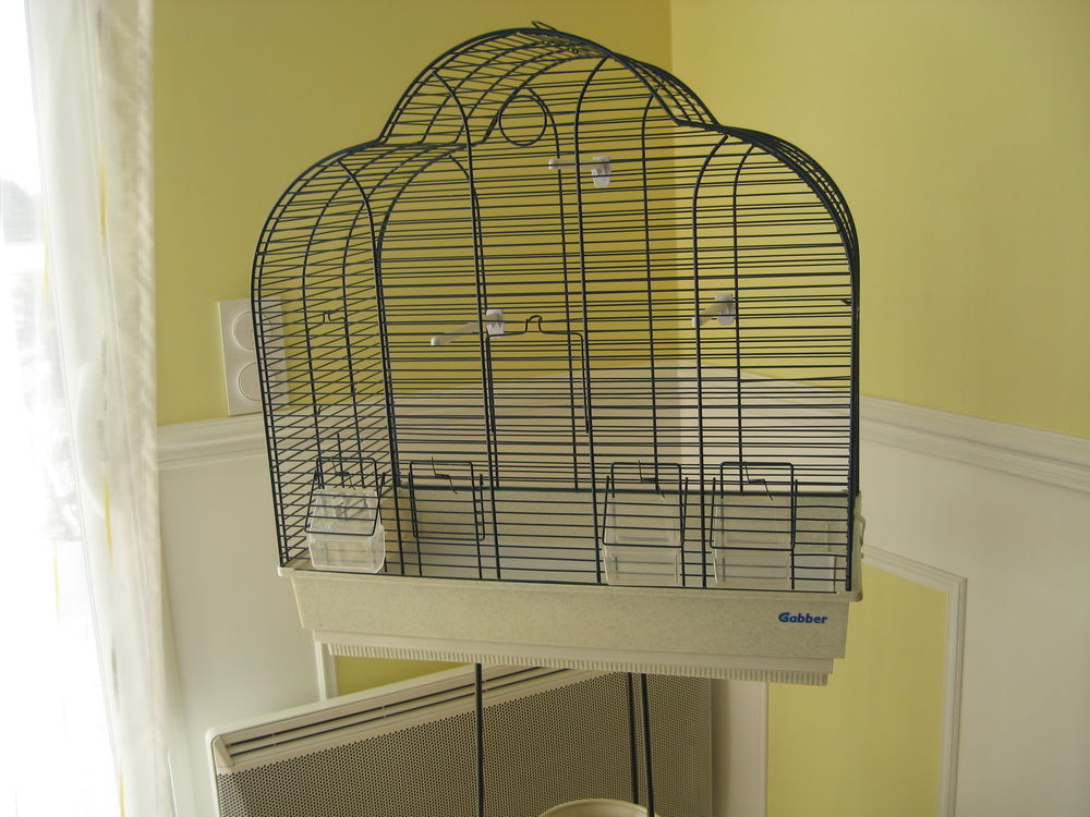 cage oiseaux 30 17380 Archingeay