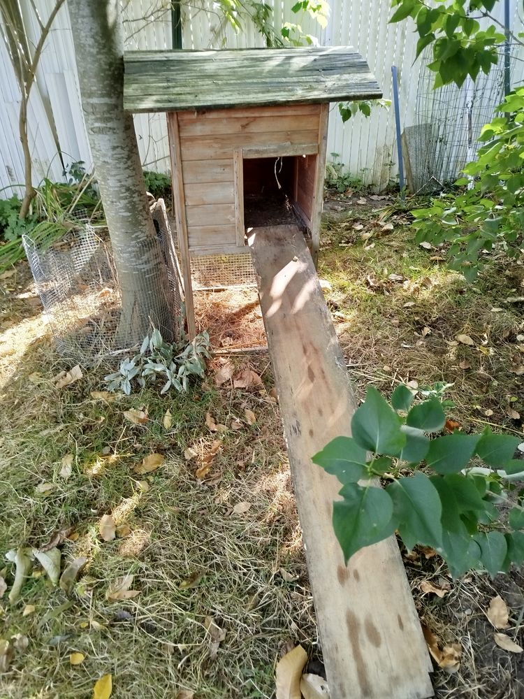 Abri / pondoir pour poule sur&eacute;lev&eacute;. 25 62138 Haisnes