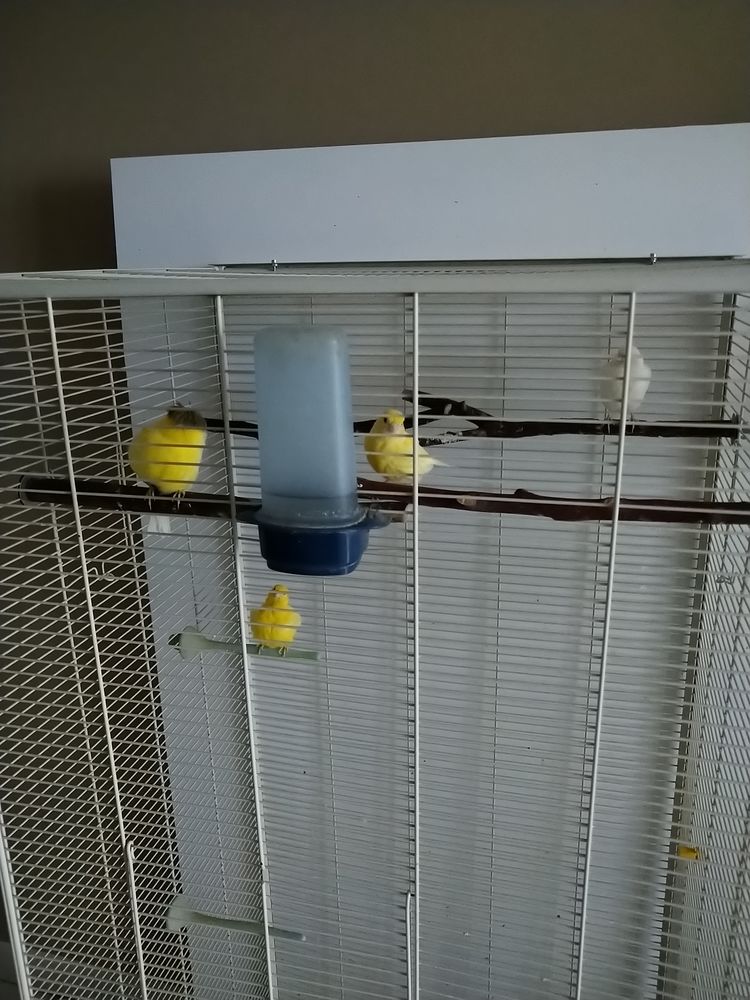 Canaris 2025 20 59370 Mons-en-bar�ul