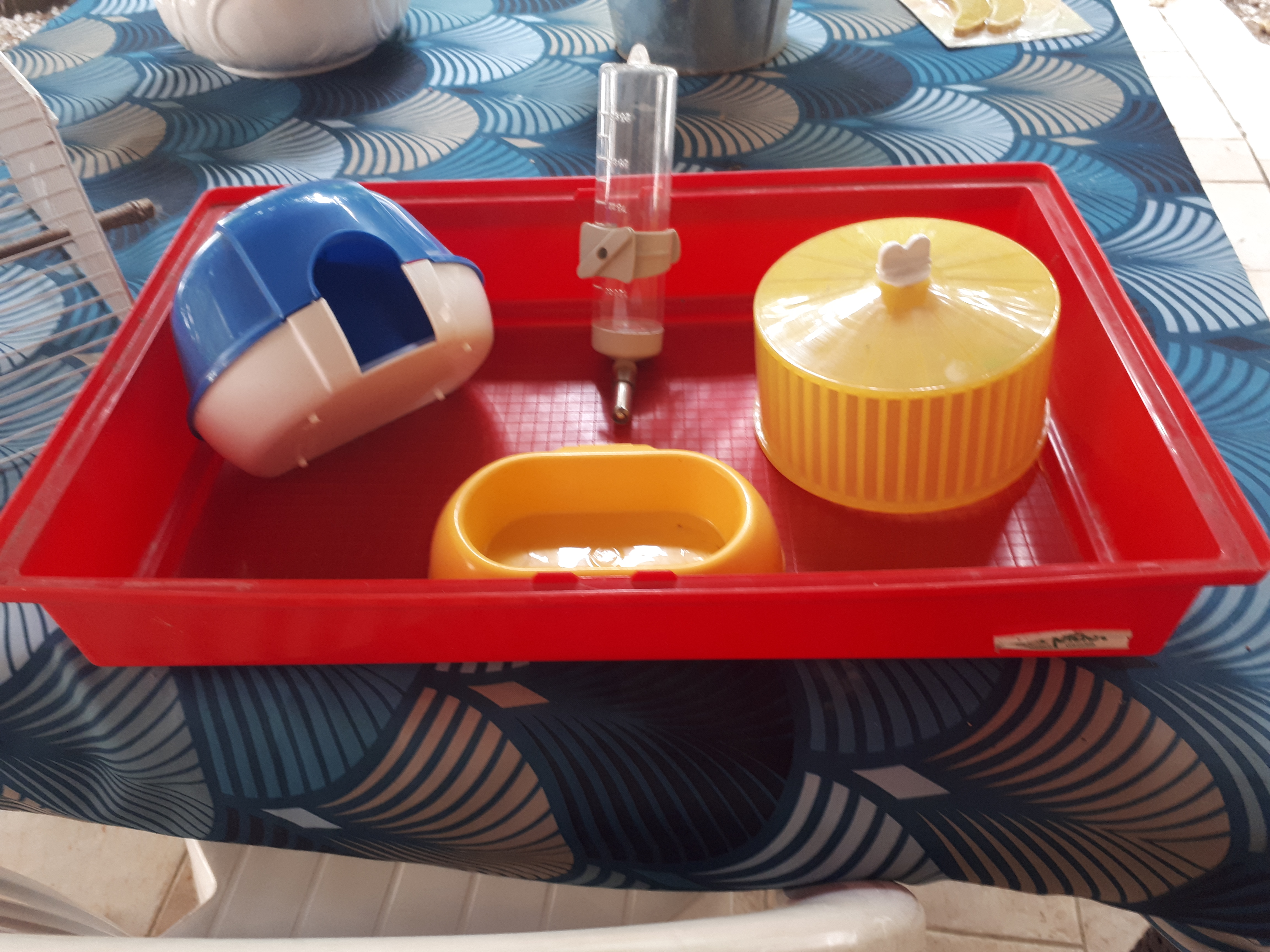 cage pour rongeurs, hamsters, cochons d'Inde 15 30670 Aigues-vives