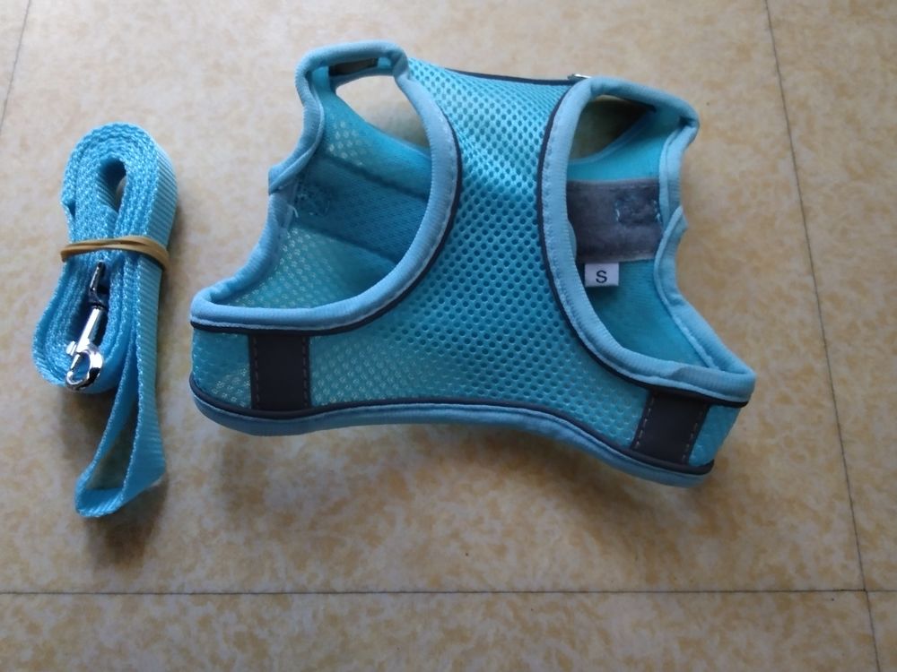 Harnais+ laisse pour chien ? 10 34090 Montpellier