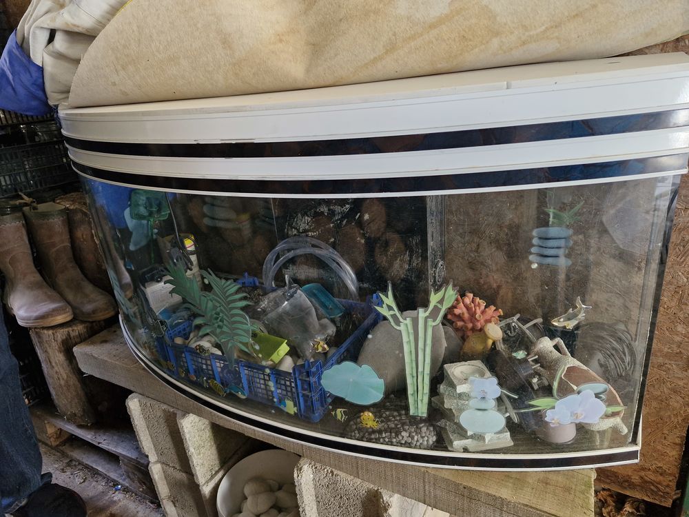 Aquarium ou vivarium avec accessoires 100 31190 Auterive