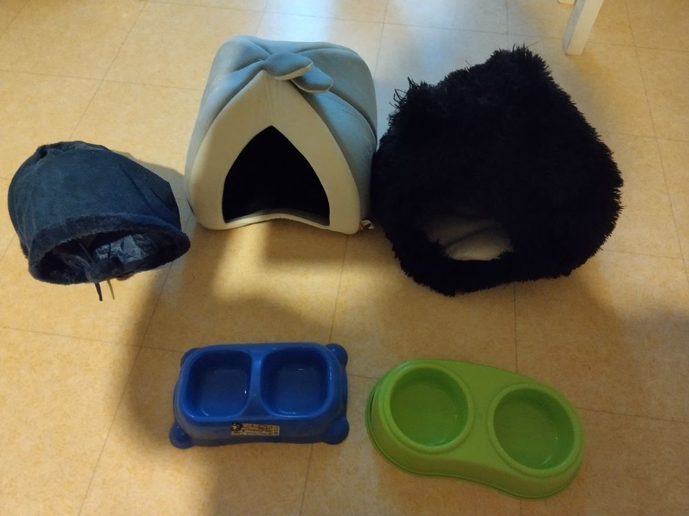 Accessoires pour chat ? ou petit chien ? 1 34090 Montpellier