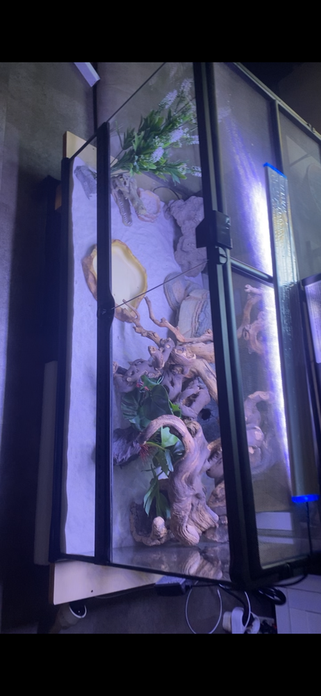 Terrarium reptile 150 93140 Bondy