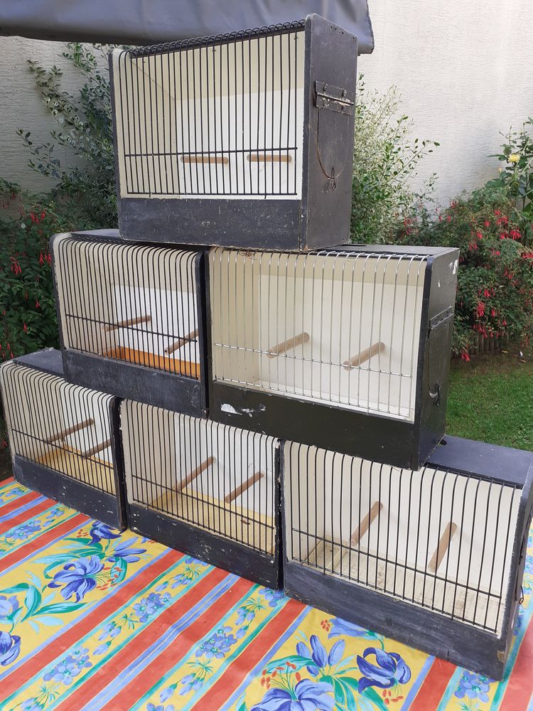 Cage d'exposition 70 33670 Cr�on