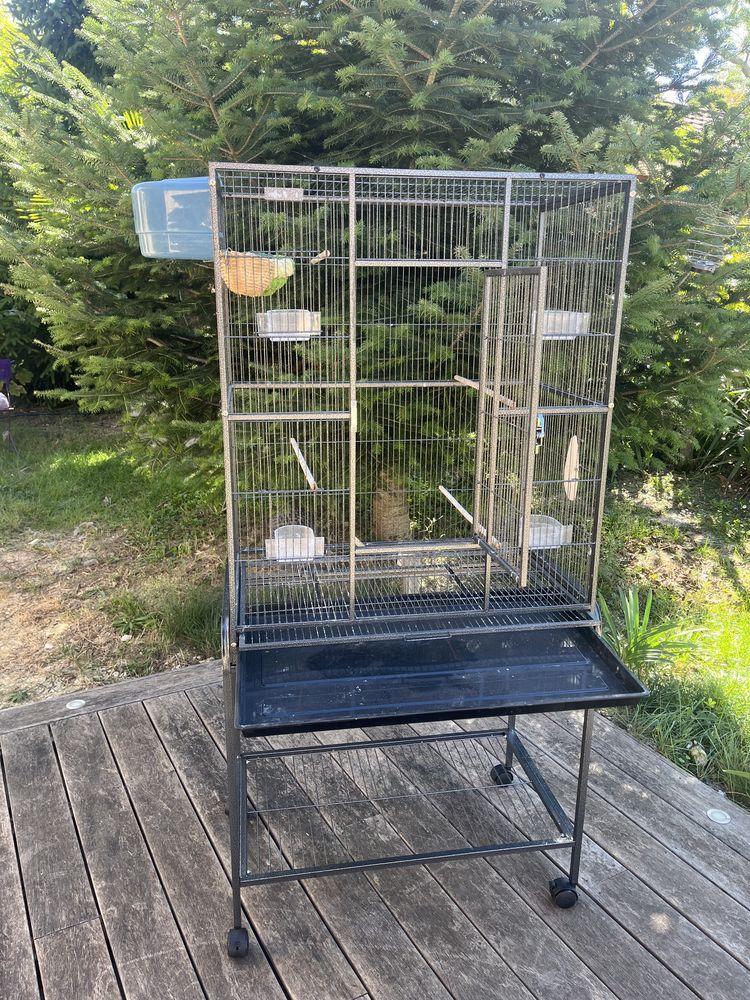 Cage &agrave; oiseaux 250 83470 Saint-maximin-la-sainte-baume