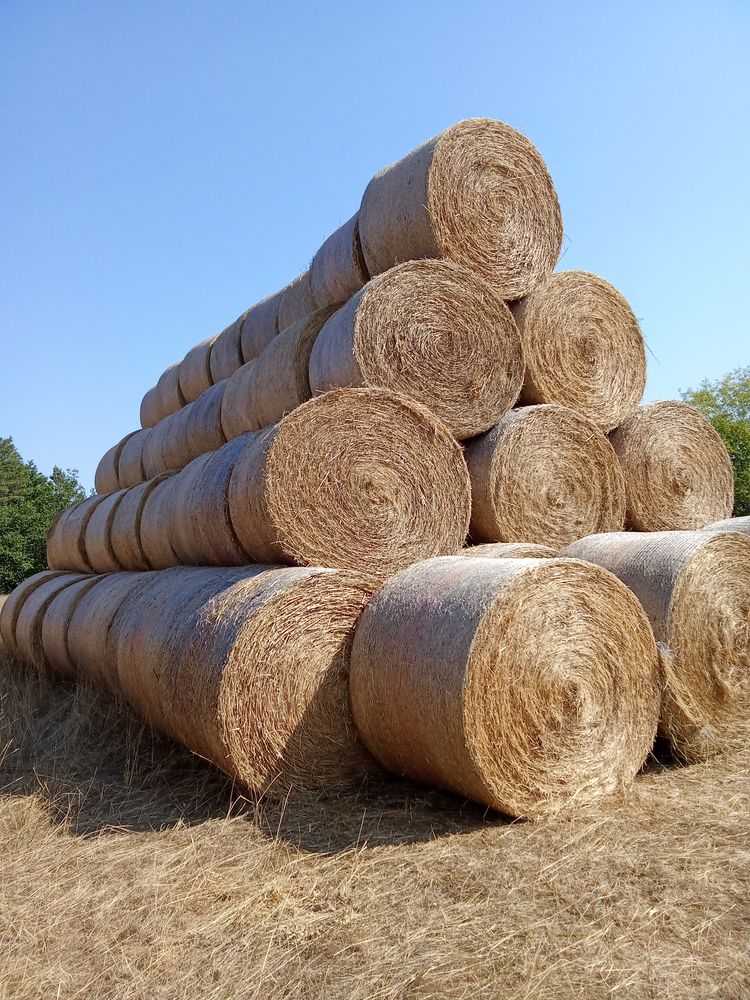 Foin 2025 90 24300 Saint-martin-le-pin