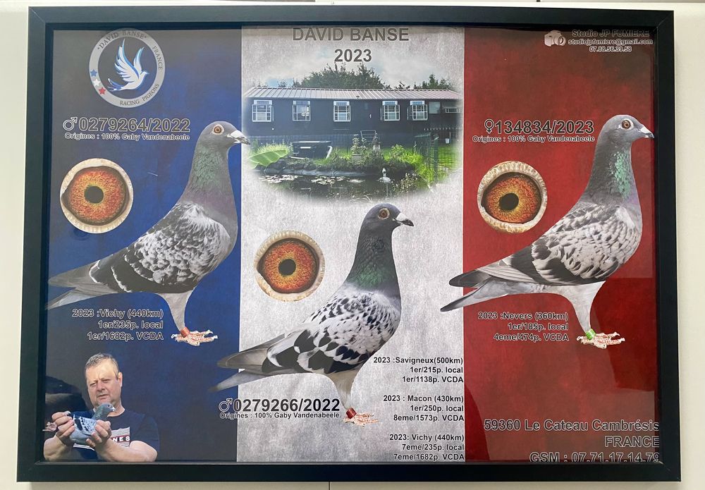 Pigeons voyageurs 0 59360 Le cateau-cambr�sis