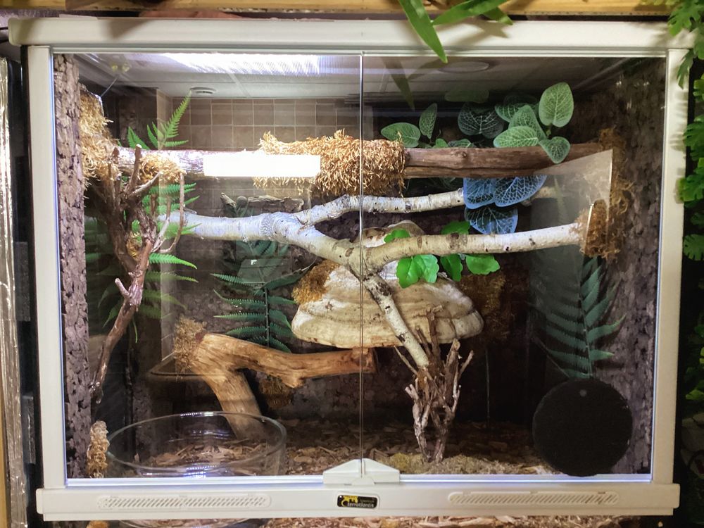 TERRARIUM VIRIDIS 120 41220 Nouan sur loire