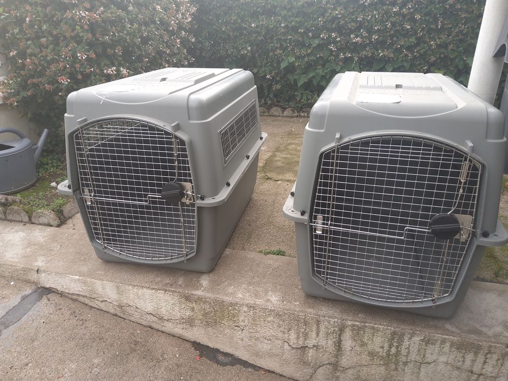 2 cages de transport pour chiens neuves 200 18600 Sancoins