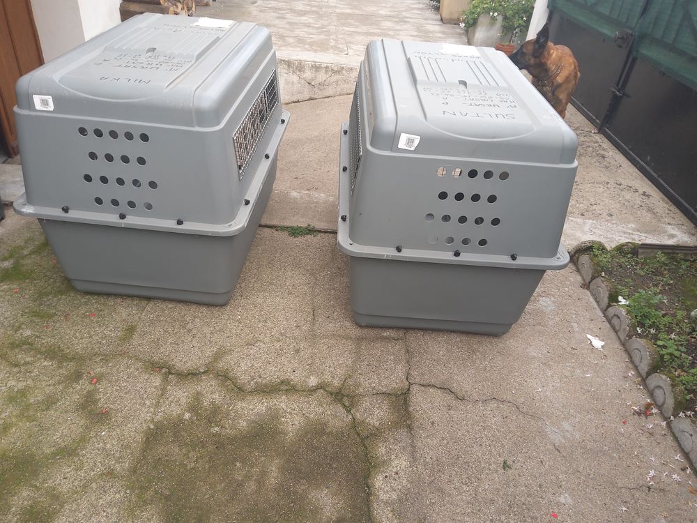 1 cage de transport pour grands chiens 100 18600 Sancoins
