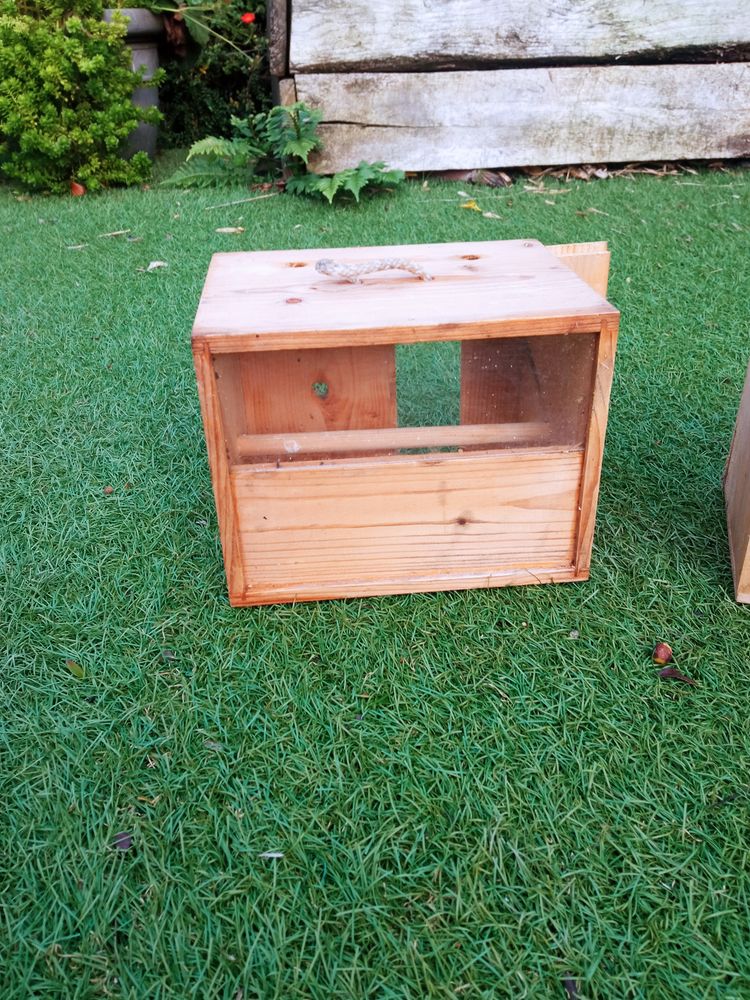 boite de transport oiseaux 6 44460 F�gr�ac