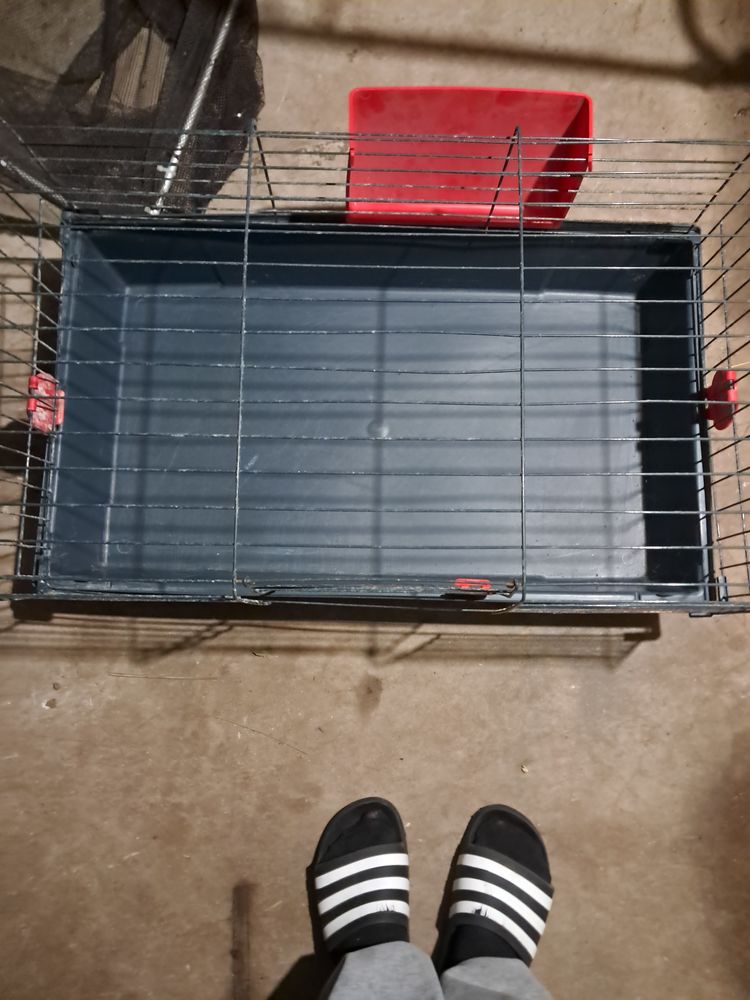 Cage lapin ou autres 20 80880 Saint-quentin-la-motte-croix-au-bailly