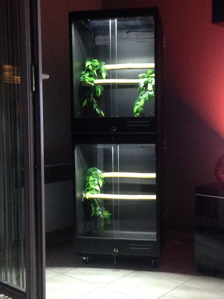 Terrarium reptiliumbox 150 30000 N�mes