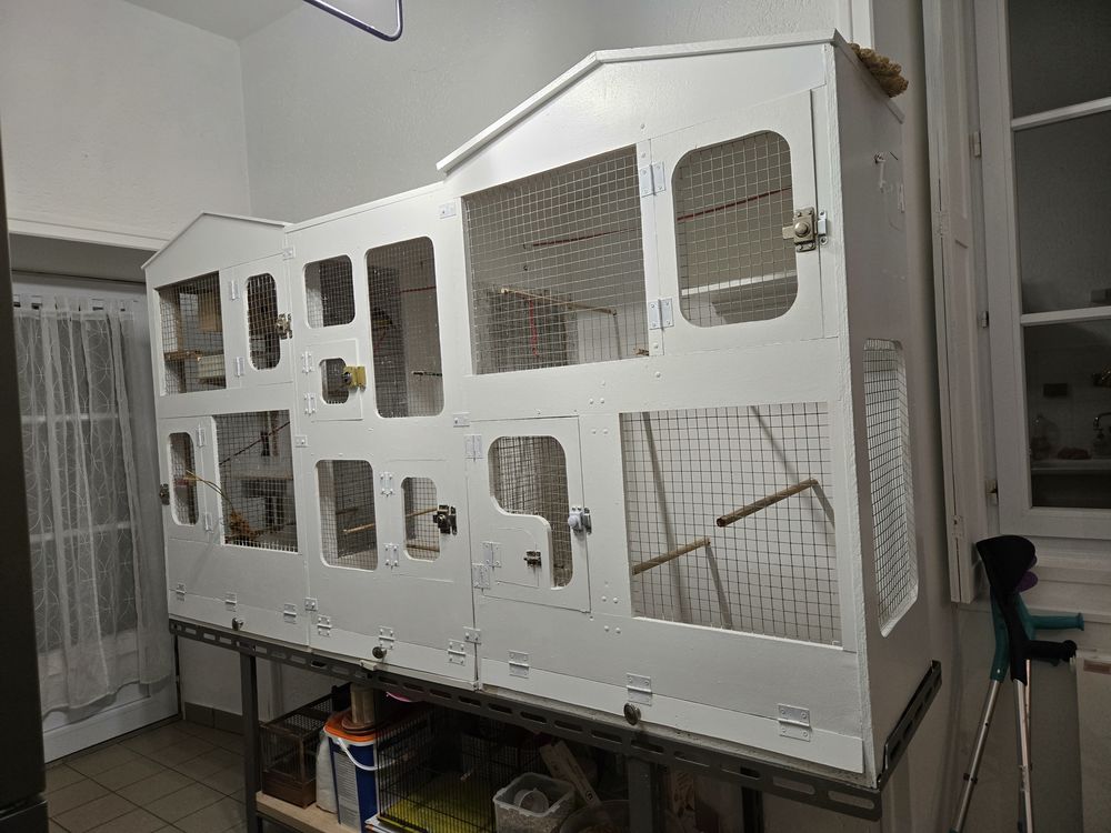 Grande voli&egrave;re 240 85170 Beaufou