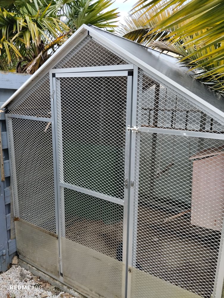 2 couples d omnicolore et un couple de turquoisine 1200 85150 Saint-mathurin