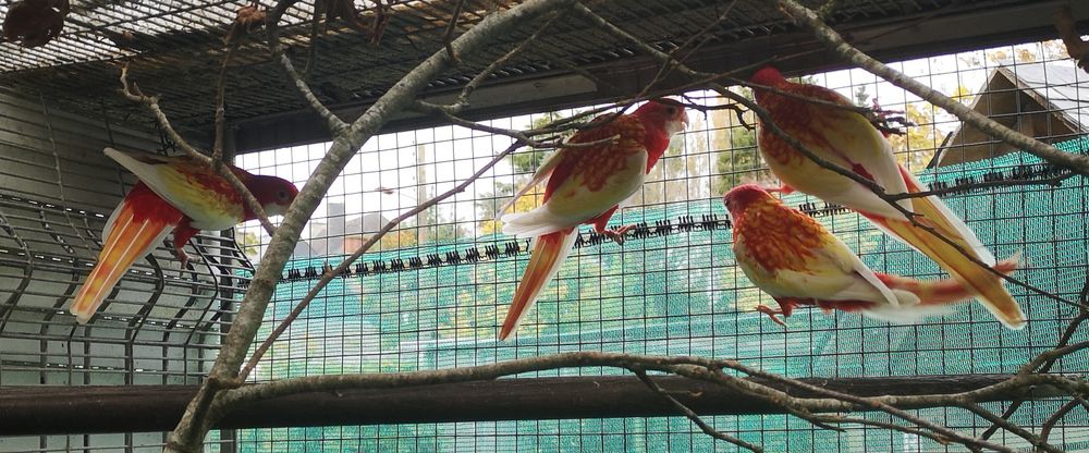 Omnicolore Rubino 80 56490 Guilliers