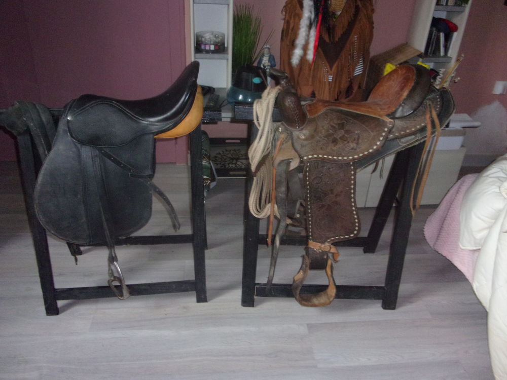lot de 2 selles 350 16240 Paizay-naudouin-embourie