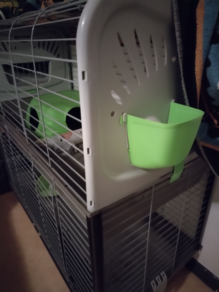 Cage &agrave; lapins double 50 37140 Bourgueil