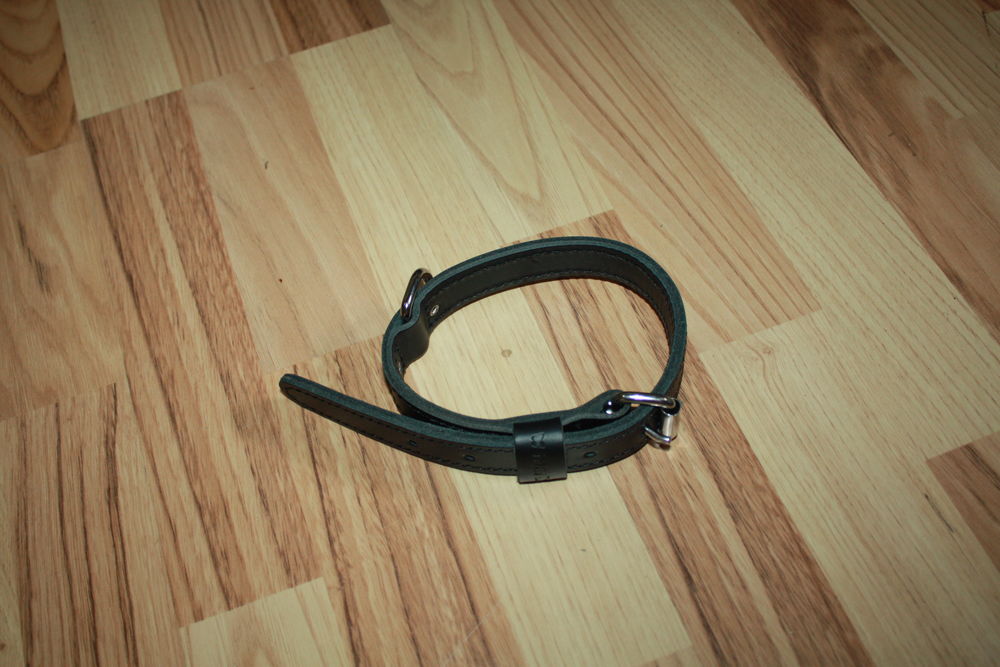 collier pour chien martin 15 44600 Saint-nazaire