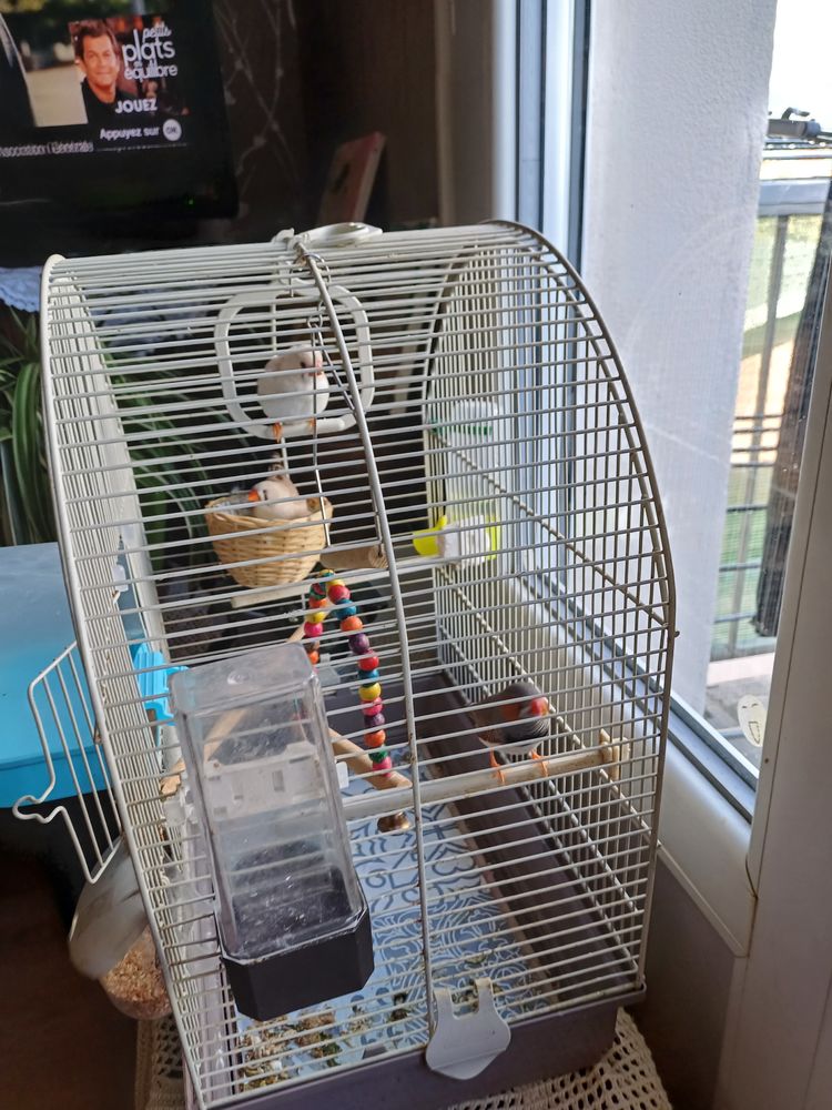 Petite mandarin 15 42300 Roanne