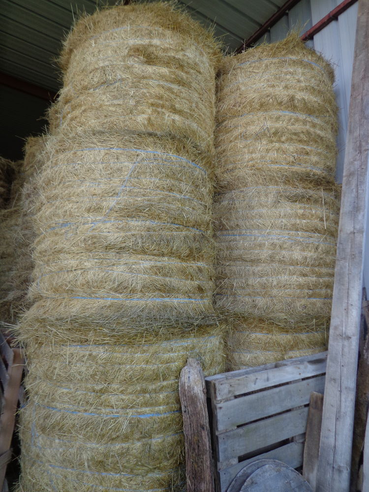Foin bottes rondes 25 03380 Huriel